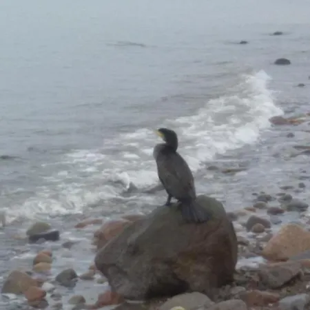 Feriehus Finnhuette Amelie Gager