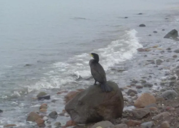 Casa vacanze Finnhuette Amelie Gager